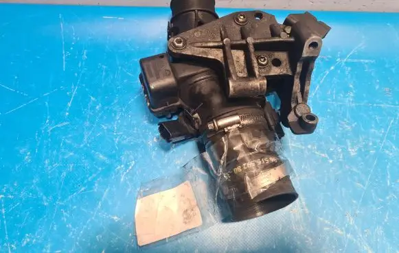 Citroen C4 I Picasso Throttle body valve 25365221