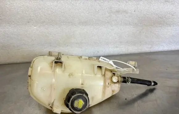 Renault Kangoo II Coolant expansion tank/reservoir 217103179R