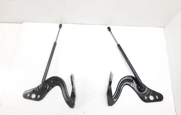 Engine bonnet/hood hinges