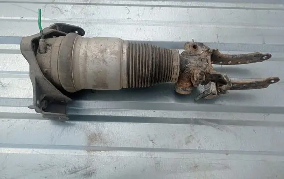 Porsche Cayenne (9PA) Air suspension front shock absorber 7L5412022AK
