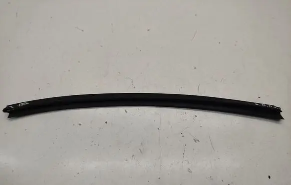 KIA Optima Rubber seal rear door window/glass CW1100