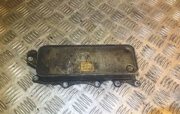 Mercedes-Benz E C207 W207 Engine oil radiator 6421800165 A6421800165