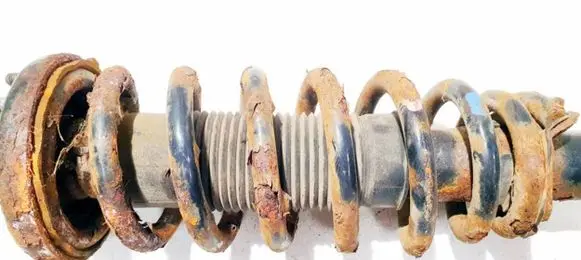 Honda Accord Front coil spring