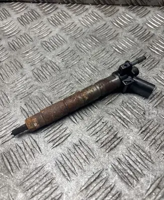 BMW X1 E84 Fuel injector 780542803