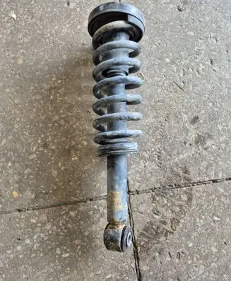 Ford F150 Front shock absorber/damper 739696 N16421