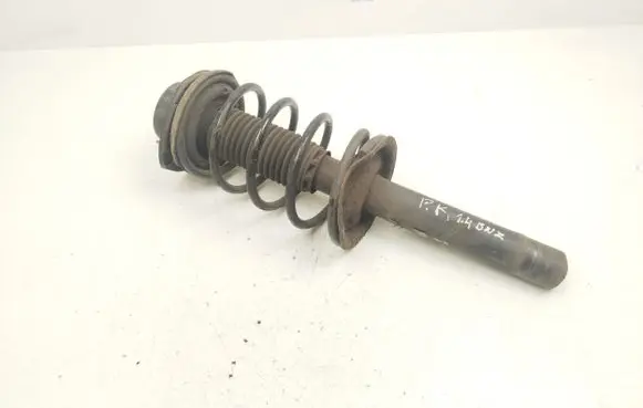 Peugeot 206 Front shock absorber with coil spring