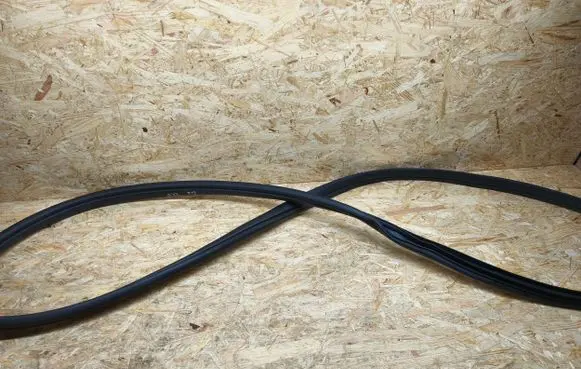 KIA EV6 Front door rubber seal 