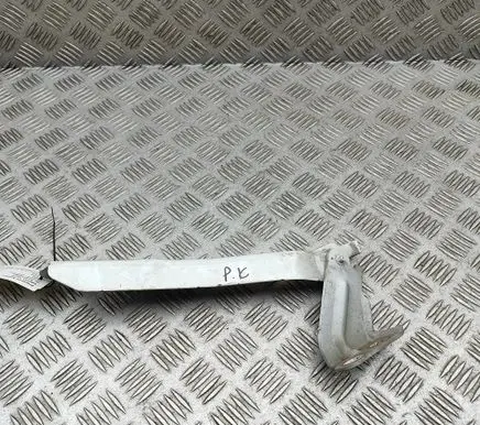 Renault Master III Engine bonnet/hood hinges 654010006R