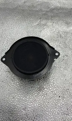 Panel speaker