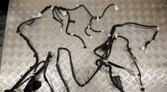 Lexus ES 250 - 300 - 330 Other wiring loom 2885025010 0199300019 8216533070