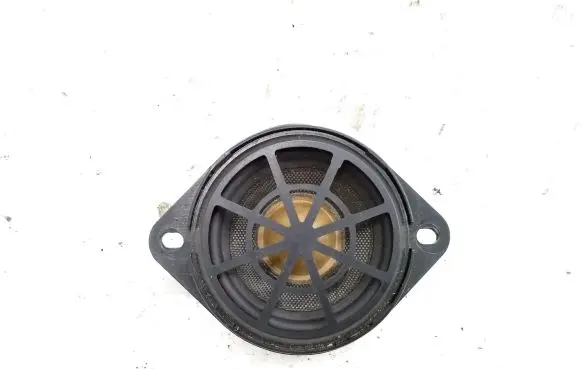 Panel speaker