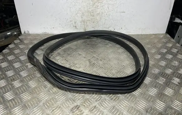 Hyundai Kona I Rear door rubber seal (on body) 