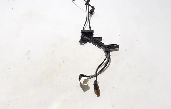 Other wiring loom