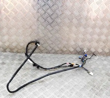 Tesla Model Y Other wiring loom 161669100C