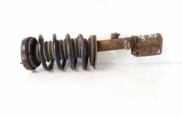 Front shock absorber with coil spring