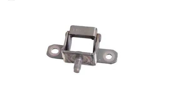 Tailgate/trunk/boot hinge
