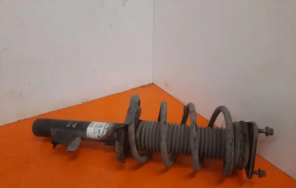 Ford Focus C-MAX Front shock absorber with coil spring 313287
