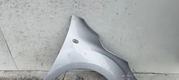 Mercedes-Benz Citan W415 Fender 