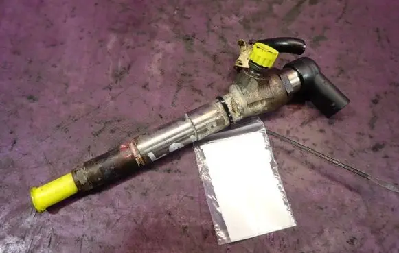 Renault Megane III Fuel injector 