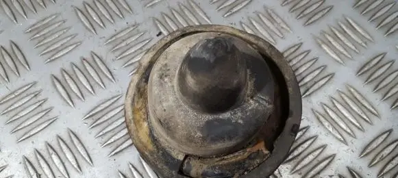 Coil spring mount