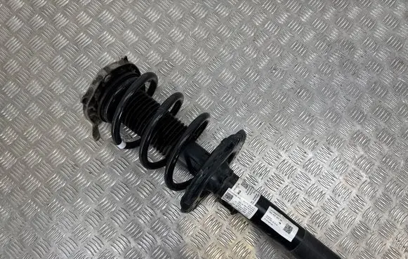Volkswagen ID. Buzz Front shock absorber/damper 1N3412021ER