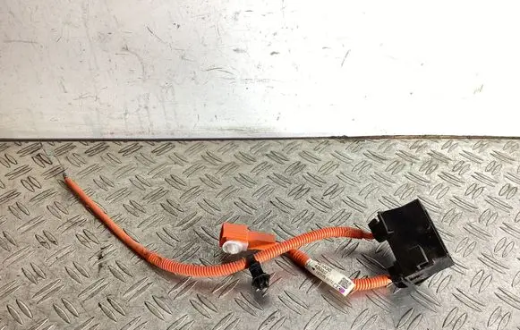 Lexus NX Other wiring loom G383048050