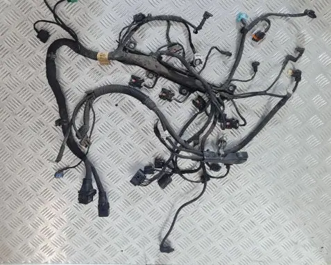 SsangYong Actyon sports II Engine installation wiring loom
