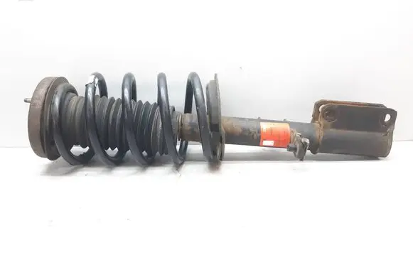 BMW X5 E53 Front shock absorber with coil spring