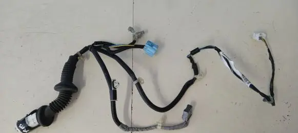 Rear door wiring loom