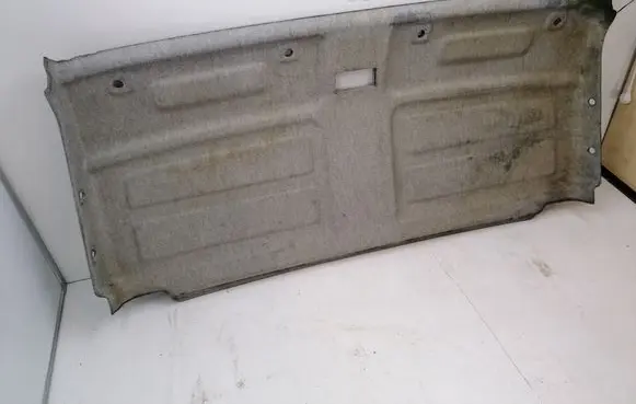 Peugeot Boxer Headlining 