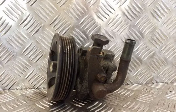Hyundai Santa Fe Power steering pump 5710026300