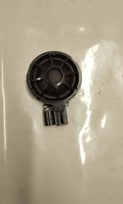 Front door high frequency speaker