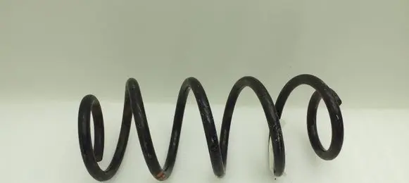 Audi A4 S4 B7 8E 8H Front coil spring