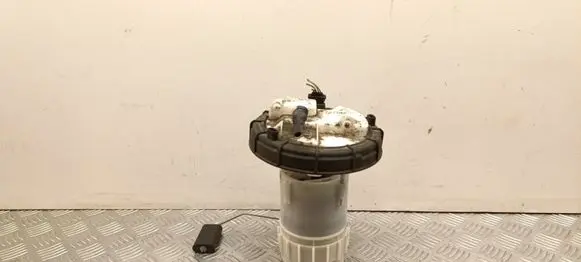 Peugeot 2008 I In-tank fuel pump 9674466680