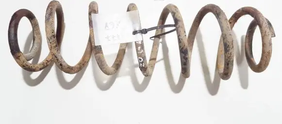 Seat Toledo II (1M) Rear coil spring