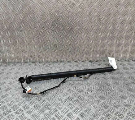Ford Kuga III Tailgate/trunk strut/damper LV4BS402A55CA