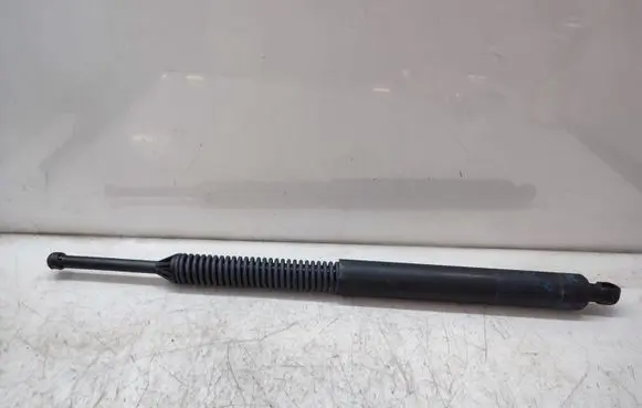 Tailgate/trunk strut/damper