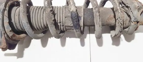 Toyota Corolla Verso AR10 Rear coil spring