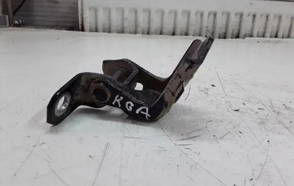 Ford Maverick Rear door lower hinge