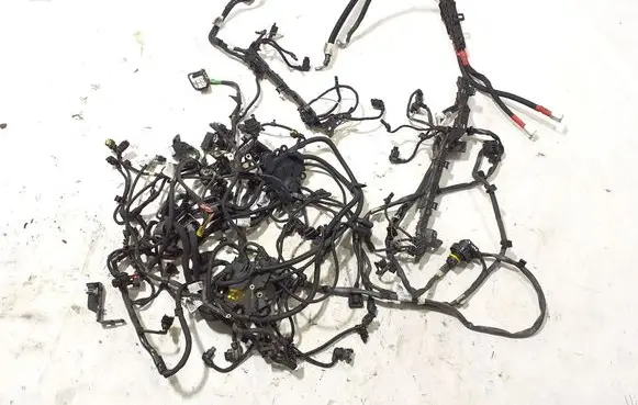 BMW X6 G06 Engine installation wiring loom 8091511