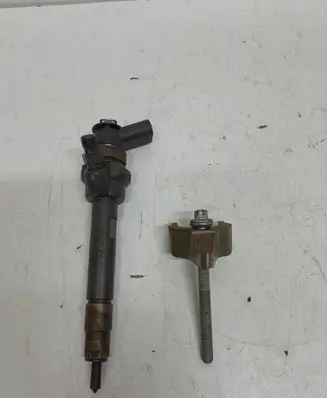 Mini Paceman (R61) Fuel injector 779844605 7798446 0445110289