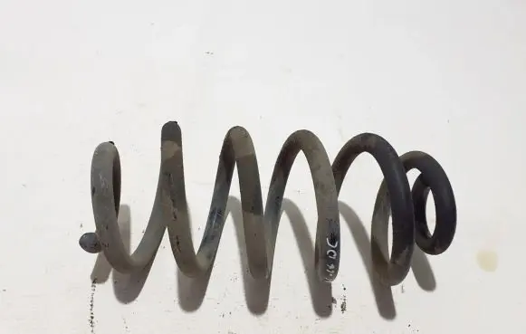 Nissan Qashqai Rear coil spring 550204EA4B