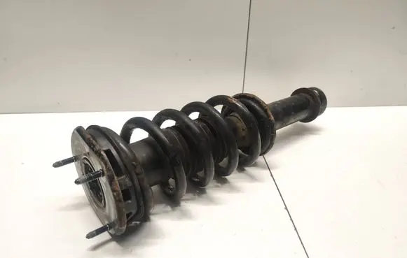 Tesla Model S Front shock absorber/damper 103060700g