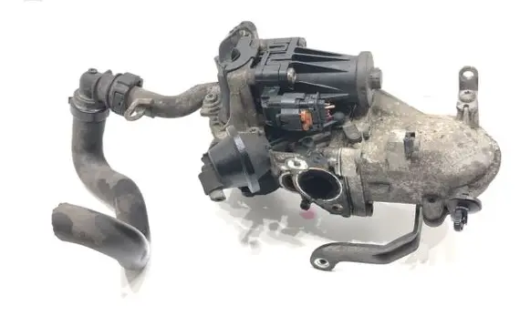 Peugeot Partner EGR valve 5056390300