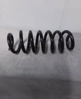 Ford Bronco Rear coil spring 