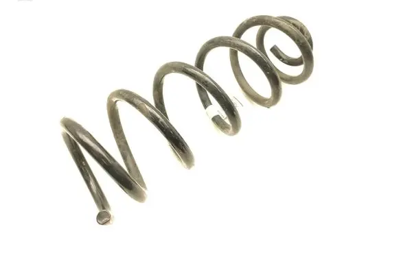 Rear coil spring