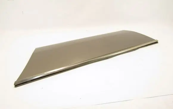 Rear door trim (molding)
