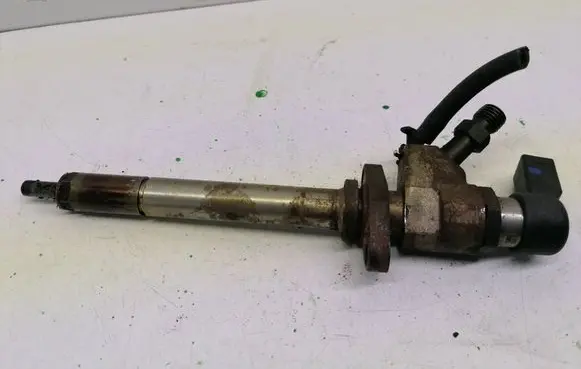 Citroen C4 I Picasso Fuel injector 9658194180