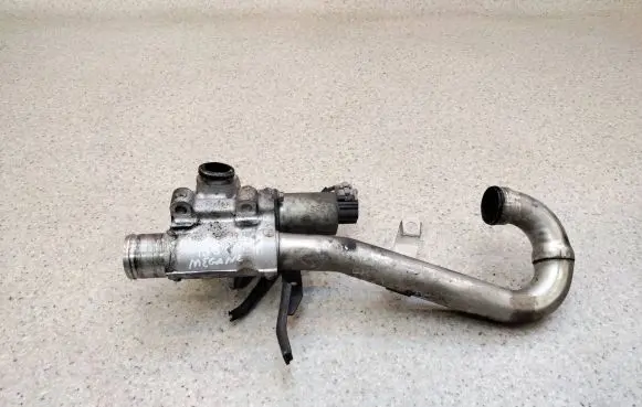 Renault Megane II EGR valve 255366