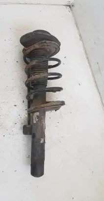 Peugeot 206 Front shock absorber with coil spring